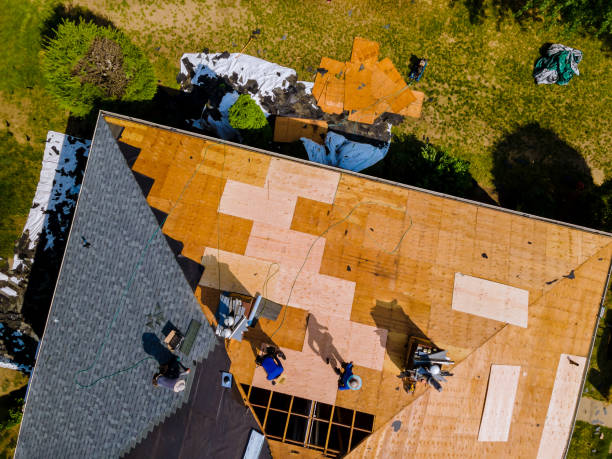 Quick and Trustworthy Emergency Roof Repair Services in Tangelo Park, FL