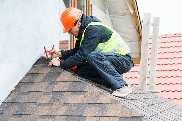Best Storm Damage Roof Repair  in Tangelo Park, FL
