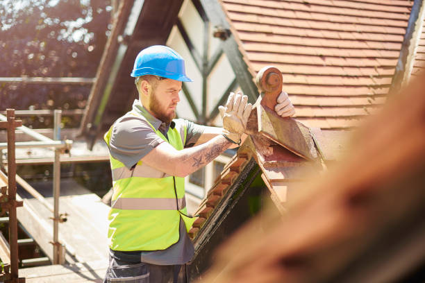 Best Metal Roofing Contractor  in Tangelo Park, FL